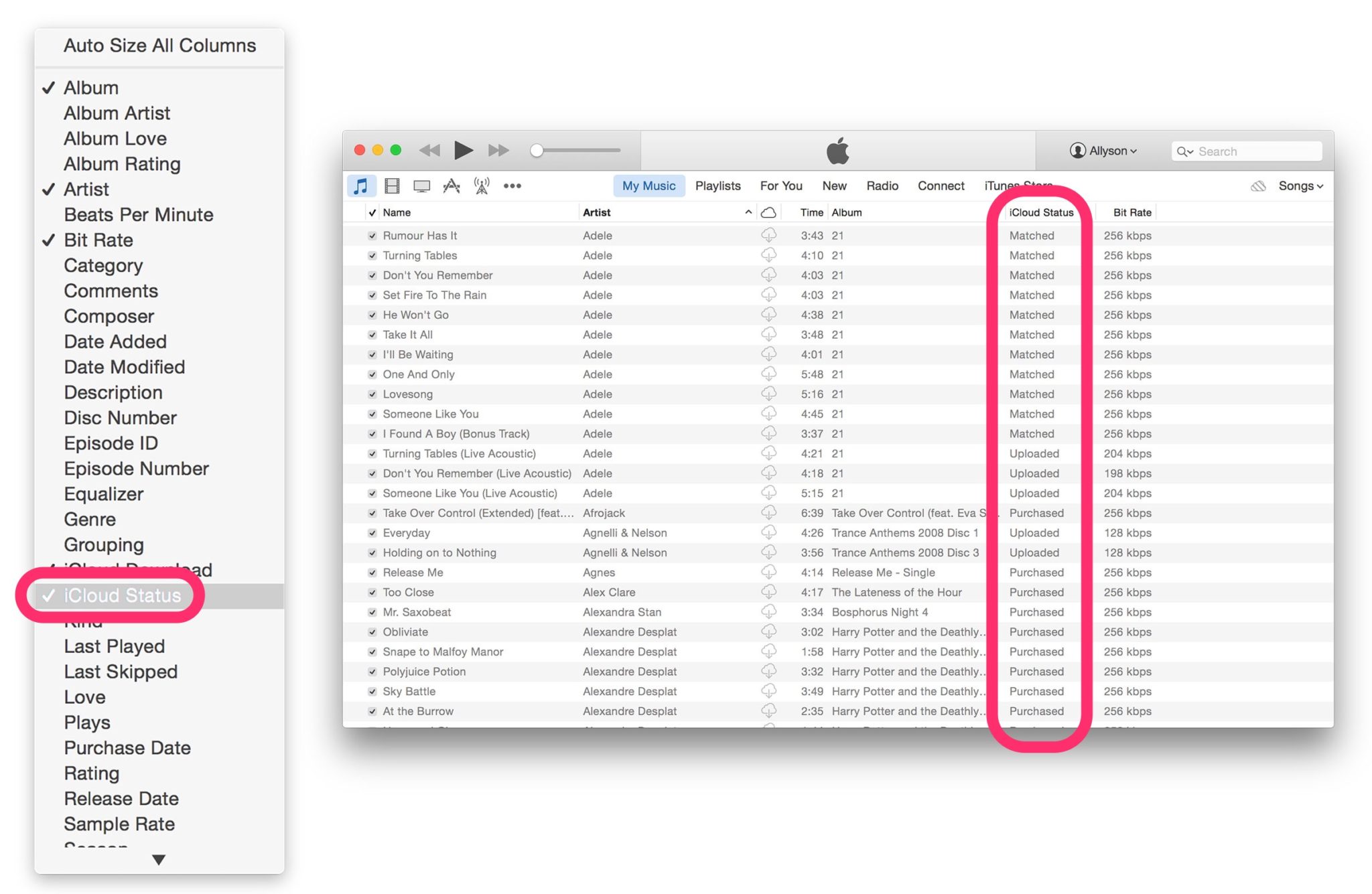 Are your iTunes files matched, purchased, uploaded, or Apple Music DRM